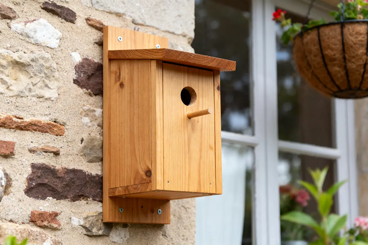 Cabane en bois pour oiseaux : guide pratique et fabrication