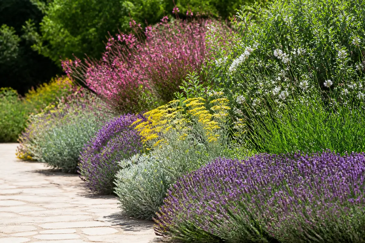 Plantes sans entretien pour bordure : Nos 10 meilleures idées