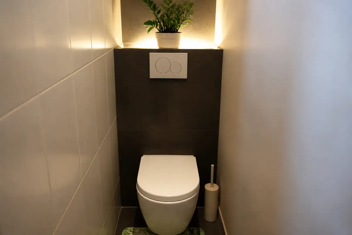 Plante sans lumière pour WC : Les meilleures variétés à choisir